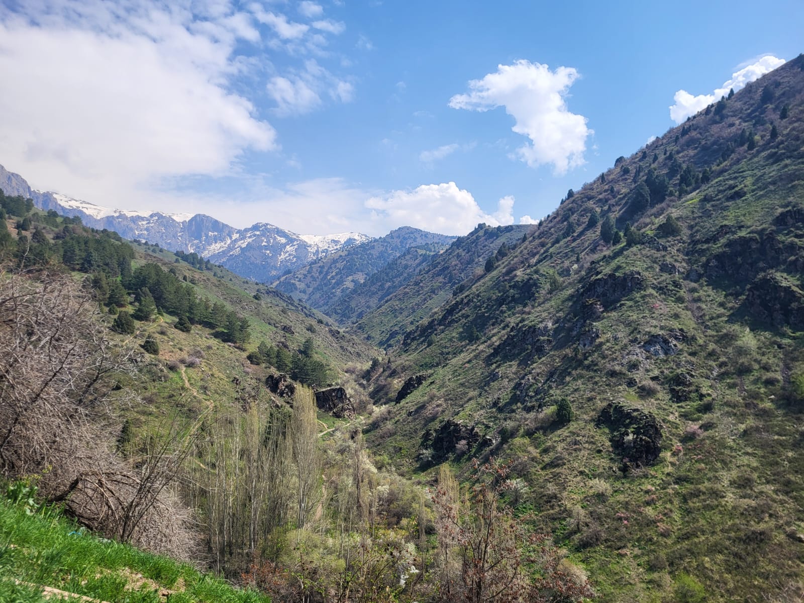 whatsapp image 2026 04 03 at 02.55.33