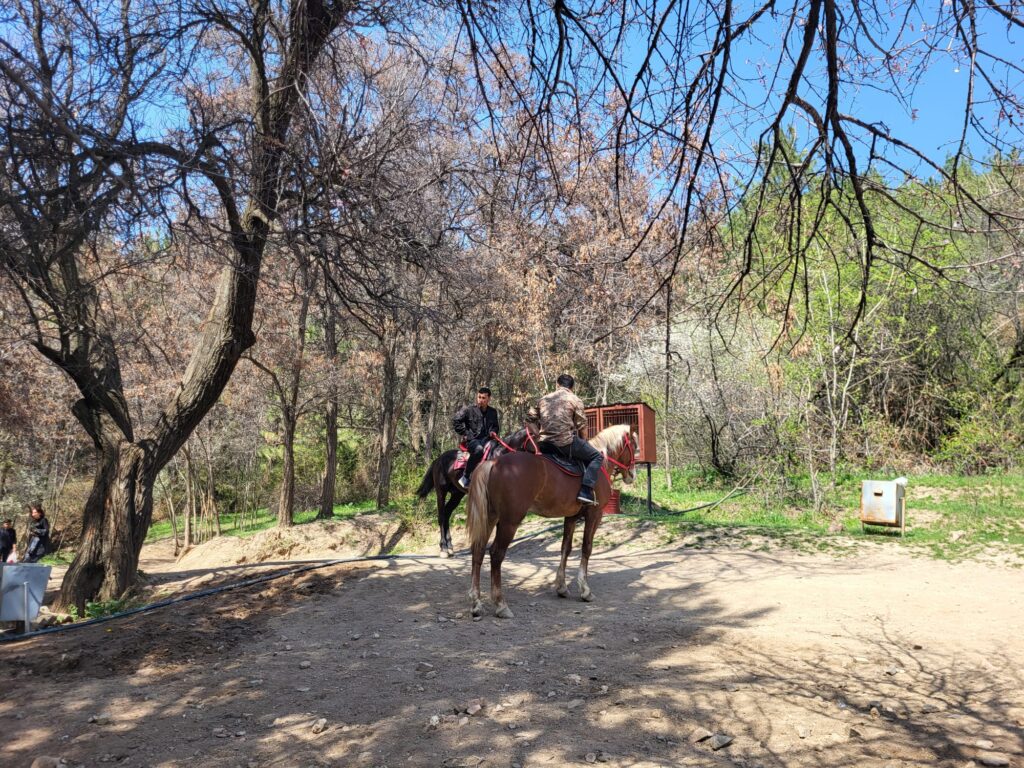 whatsapp image 2026 04 03 at 02.59.23